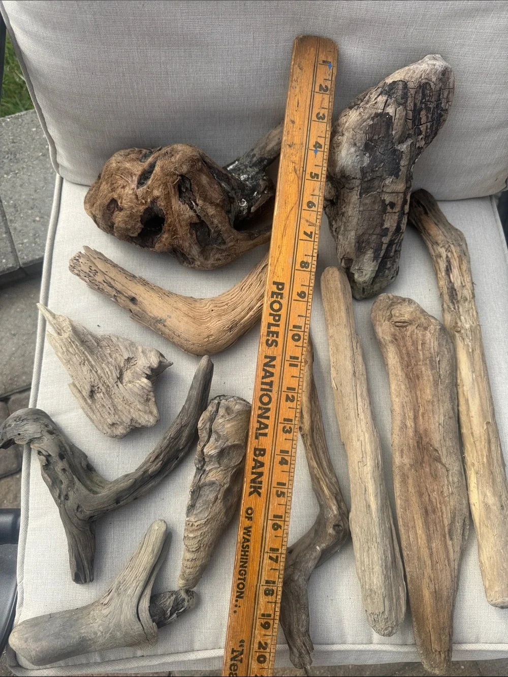 11 pc (5lbs shipped) Natural Driftwood Decorative Accent Pieces-craft & display